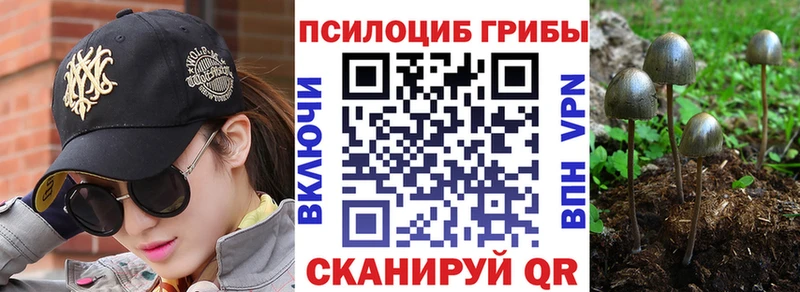 Галлюциногенные грибы мухоморы Калининград