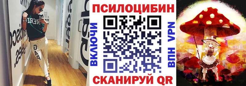где найти наркотики  Калининград  мориарти клад  Псилоцибиновые грибы Psilocybe 